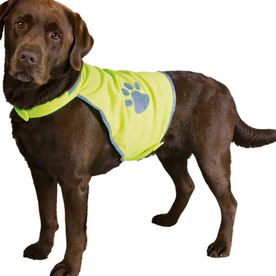 Sikkerhetsvest Neongul