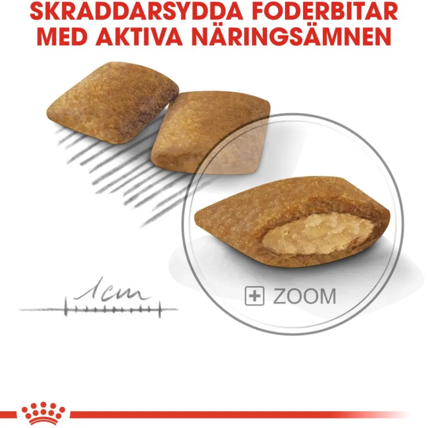 Size Mini Exigent tørrfôr til hund 3 kg