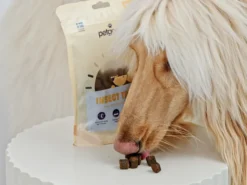 skin and fur hundegodbiter 100 g
