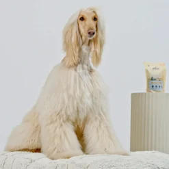 skin and fur hundegodbiter 100 g