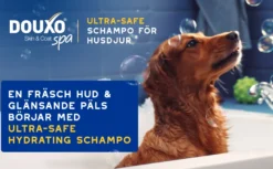 Skin & Coat spa Ultra-safe Hydrating shampoo 250 ml