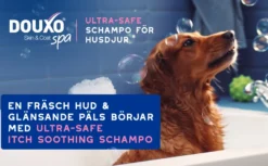 Skin & Coat spa Ultra-safe kløestillende sjampo 250 ml