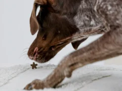 slappe av/duftende hundegodbiter 100 g