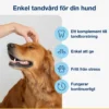 Softchews liten hund 120 biter