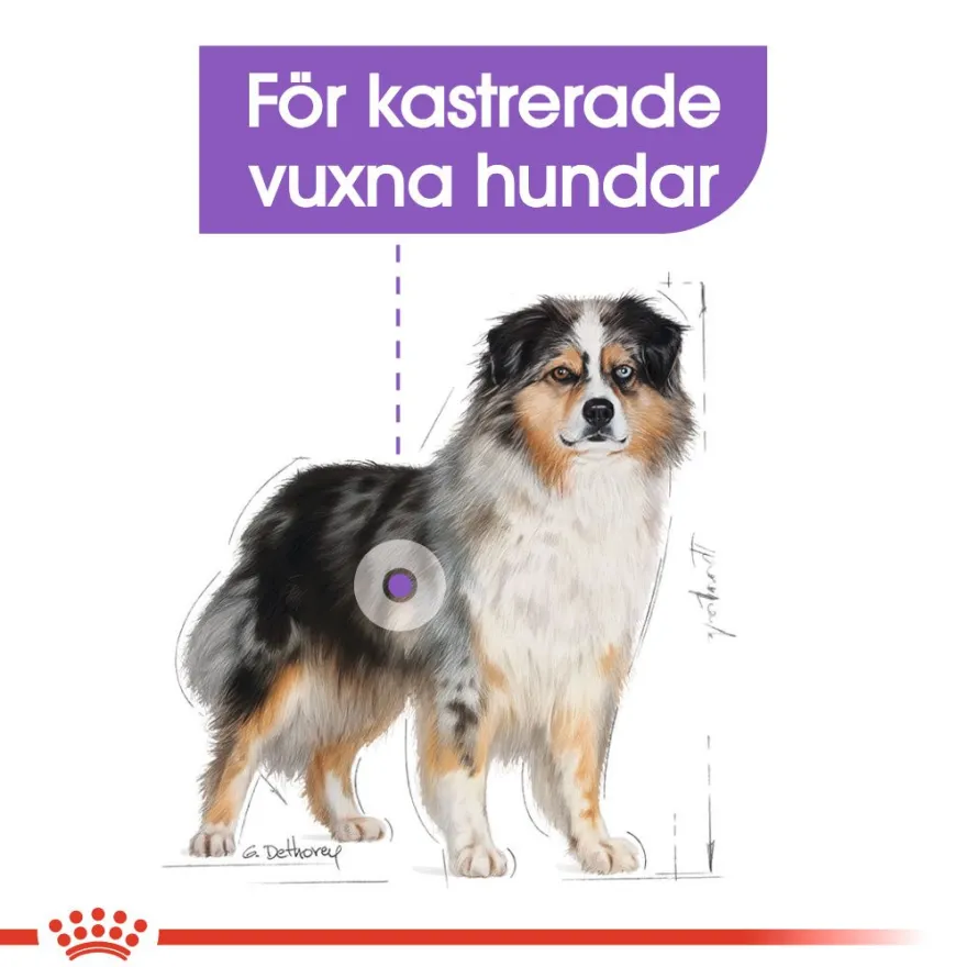 Sterilisert Adult Medium tørrfôr for hunder 12 kg