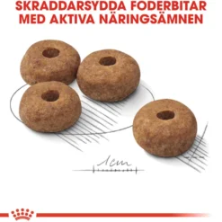 Sterilisert Adult Medium tørrfôr for hunder 12 kg