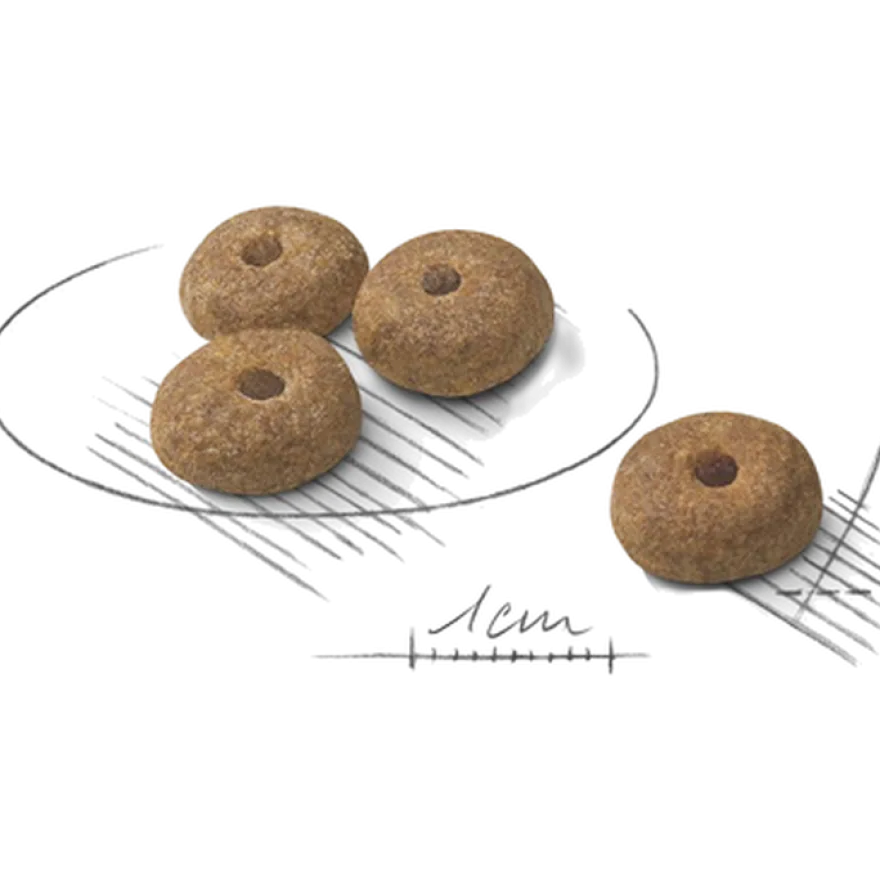 Sterilisert Adult Mini tørrfôr for hunder 8 kg