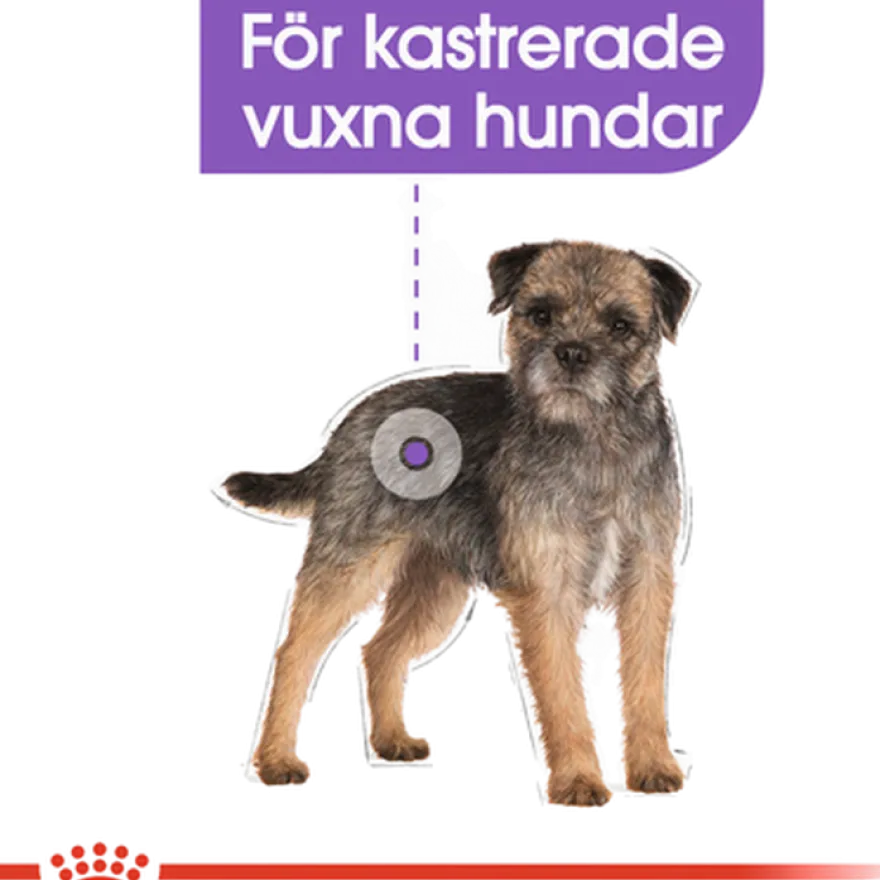 Sterilisert Adult Mini tørrfôr for hunder 8 kg