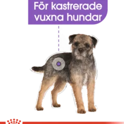 Sterilisert Adult Mini tørrfôr for hunder 3 kg