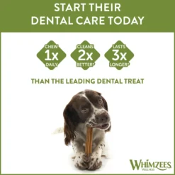 Stix Dental Dog