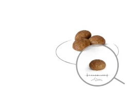 Størrelse X-Small Adult 8+ Tørrfôr til hund 1,5 kg