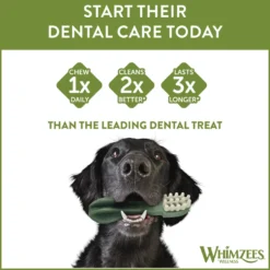 Tannbørste Star Dental XS 48 stk