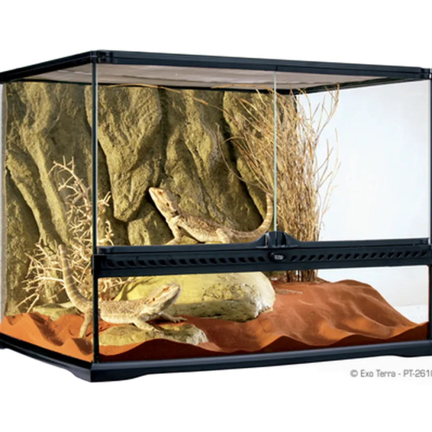 Terrarium Natural Medium Wide - 60 x 45 x 45 cm