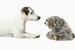 Toy Dog Faro Bear Brown 16 cm