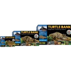 Turtle Bank - Magnetic