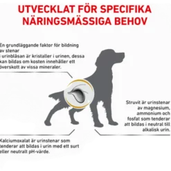 Urinary S/O Tørrfôr for hunder 2 kg