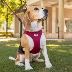 Vest Harness Clasp Air-Mesh - Step i sort X-Small