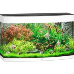 Vision 180 hvit LED akvarium