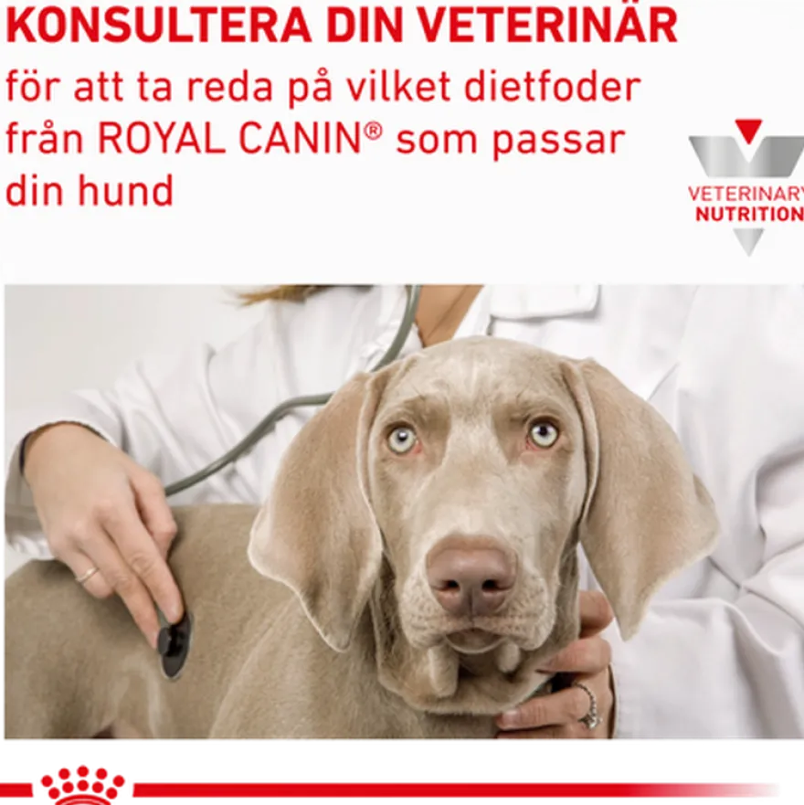 Vital Renal Våtfôr for hunder 100 g x 12 stk