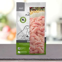 Voksen kylling 5 kg
