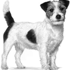 Weight Management Satiety Small Dog Tørrfôr for hunder 3 kg