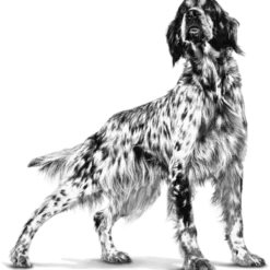 Weight Management Satiety Tørrfôr for hunder 1,5 kg