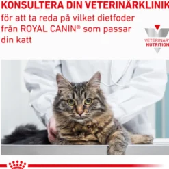 Wet Cat Gastro Intestinal 85 g x 12 stk - Porsjonsposer