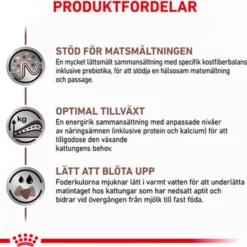 Wet Cat Gastro Intestinal Kattunge Mousse Boks 195 g