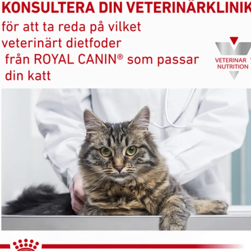 Wet Cat Sensitivity Control Kylling 85 g x 12 stk - porsjonsposer