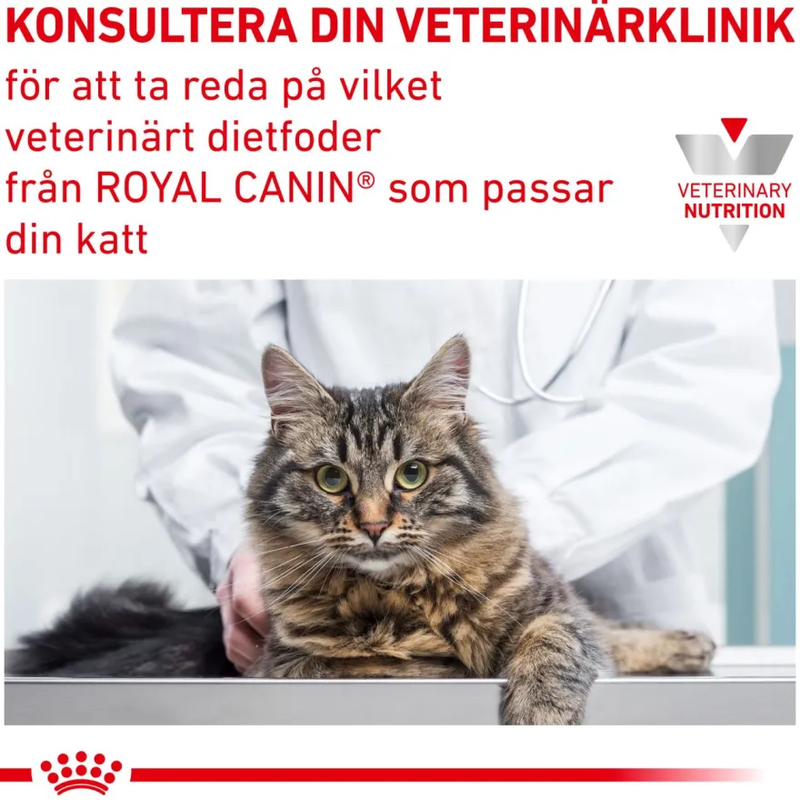 Wet Cat Urinary S/O Morsels in Gravy 85 g x 12 stk - porsjonsposer