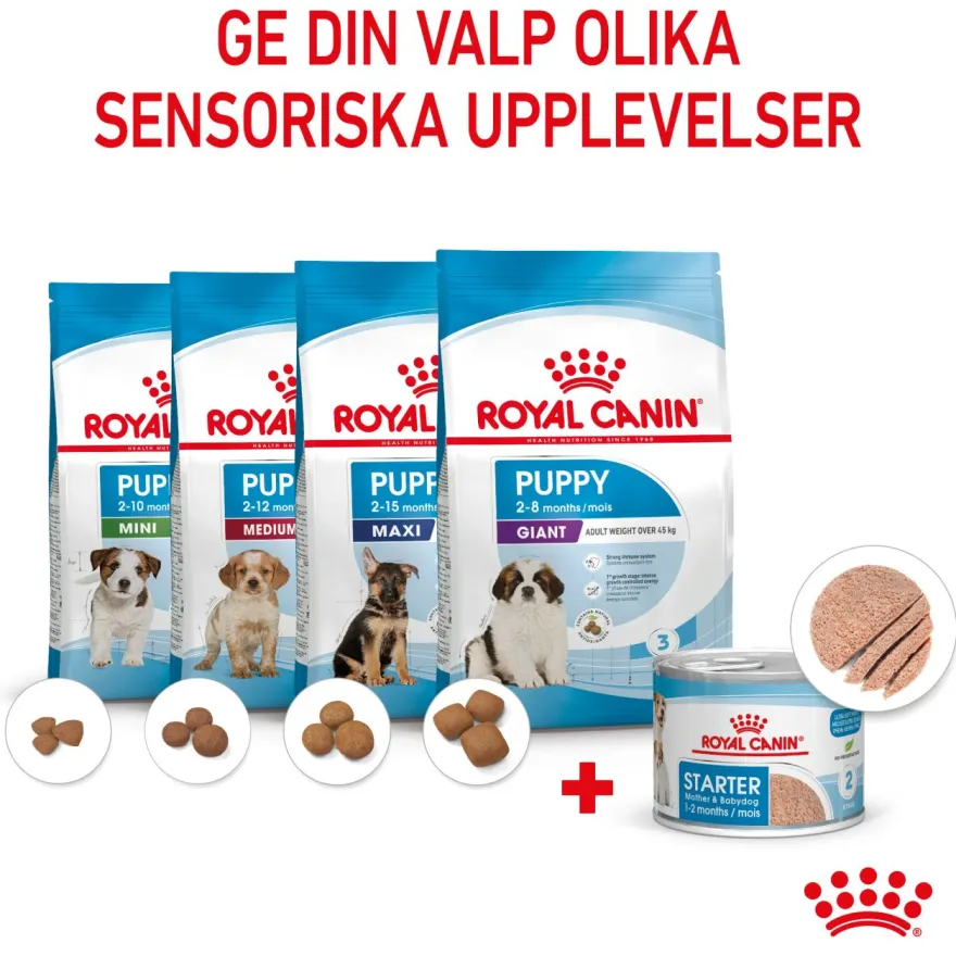 Wet Starter Mousse Våtfôr for hunder 195 g