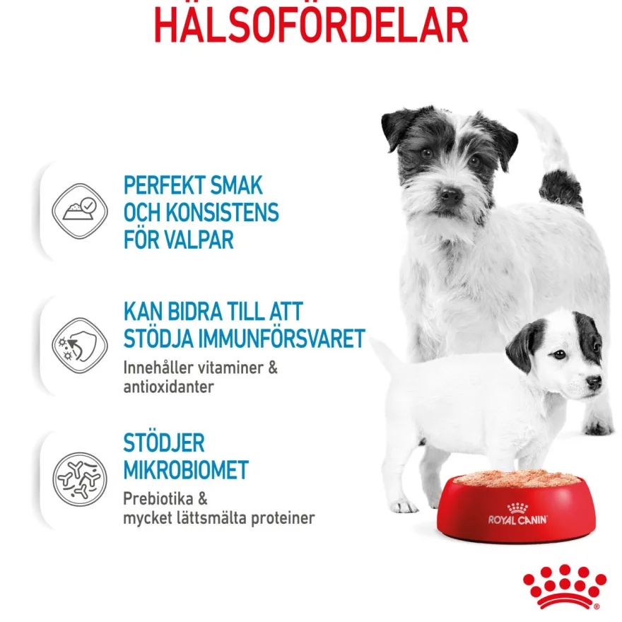 Wet Starter Mousse Våtfôr for hunder 195 g